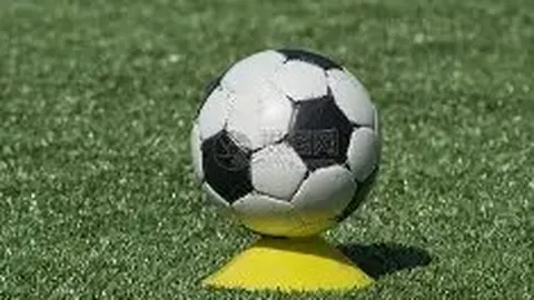 开云体育app 产品 085943 55i