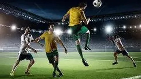 开云体育app 产品 085639 qgc