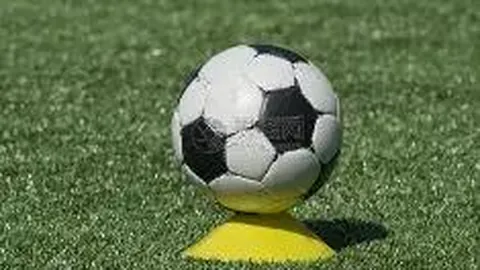 开云体育app 产品 092715 ell