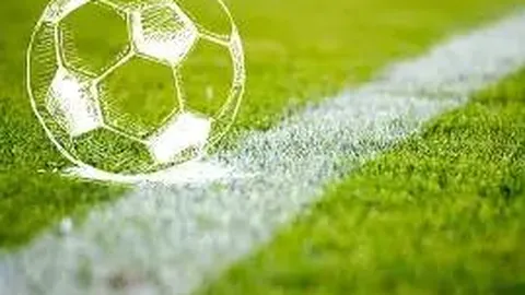 开云体育app 产品 093341 6al