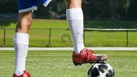 开云体育app 产品 093339 h61