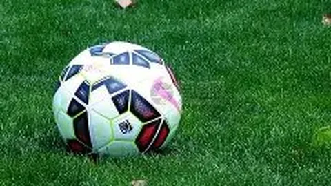 开云体育app 资讯 093341 6lu