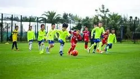 开云体育app 资讯 093329 h0t