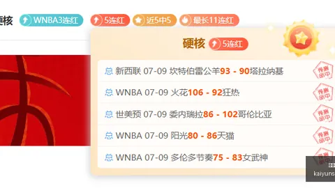 开云体育 130550 31