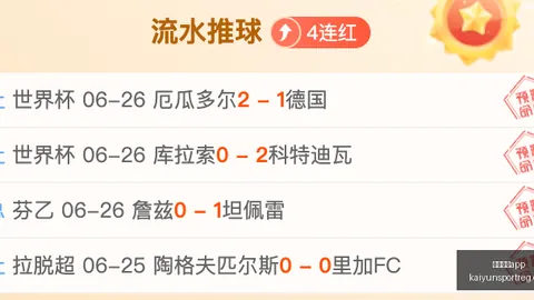开云体育 133232 3